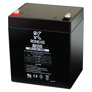 RK1245 12V 4.5 Amp Rechargeable Battery for Security Systems