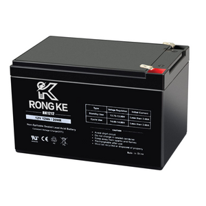 RK1212 12V 12 Amp Rechargeable Battery for Security Systems