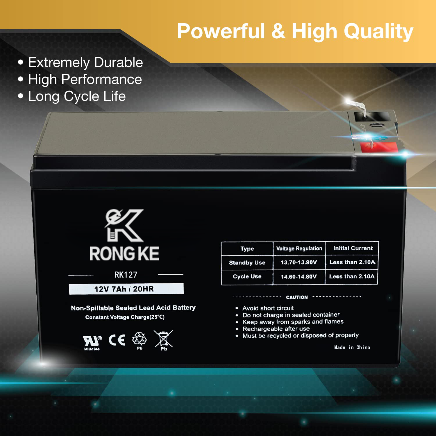 RK127 12V 7 Amp Rechargeable Battery for Security Systems